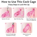 Male Chastity Cage Sex Toys with 8 Size Cock Ring thumbnail 2