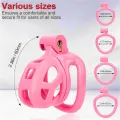 Male Chastity Cage with Elastic Belt and 4 Adjustable Rings thumbnail 3