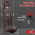 9 Inch Vibrating Realistic Black Dildo for Women thumbnail 3