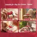 Adjustable Suction Cup Riding Dildo Harness thumbnail 4