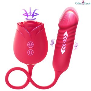 Vibrator Dildo Sex Toy for Women