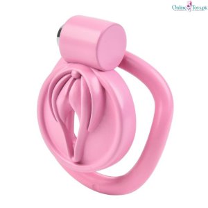 Resin Penis Chastity Cage with 4 Adjustable Rings